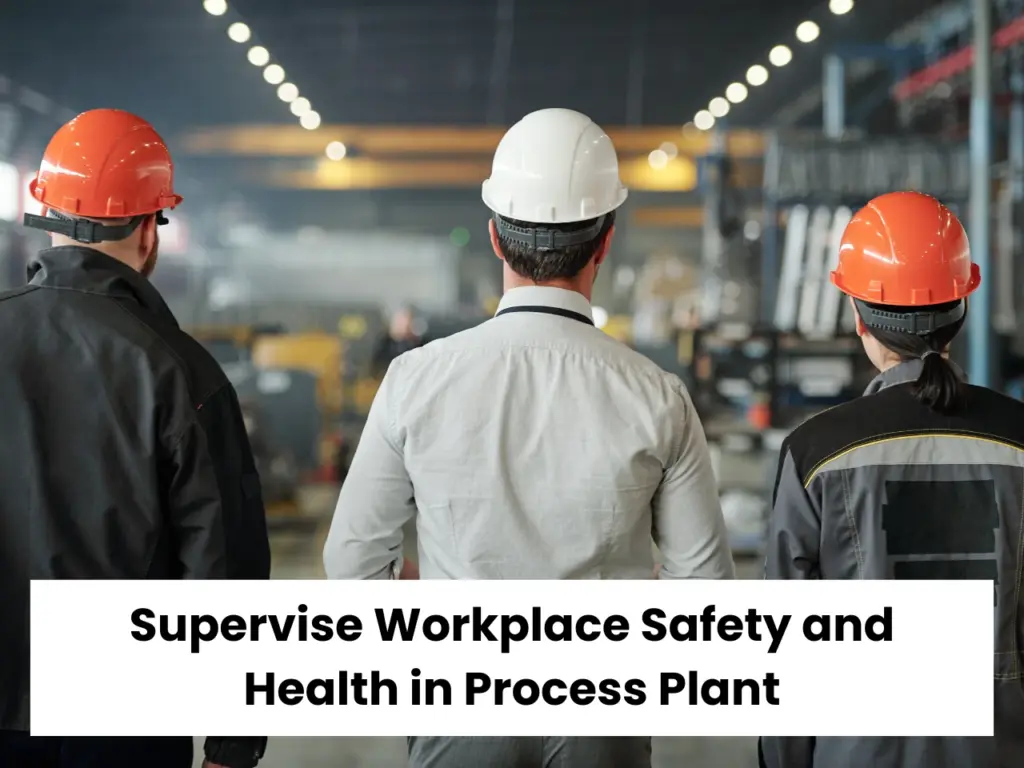 Supervise Workplace Safety and Health in Process Plant