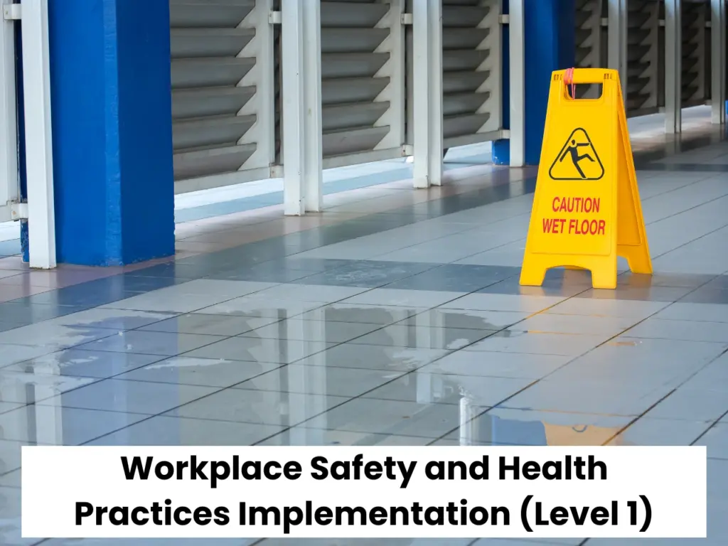 Workplace Safety and Health Practices Implementation (Level 1)