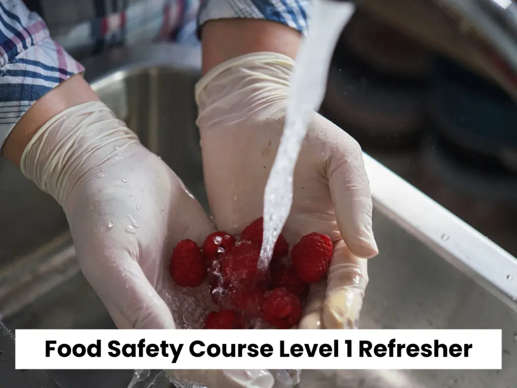 Food and hygiene refresher course | Food Safety Course Level 1 Refresher