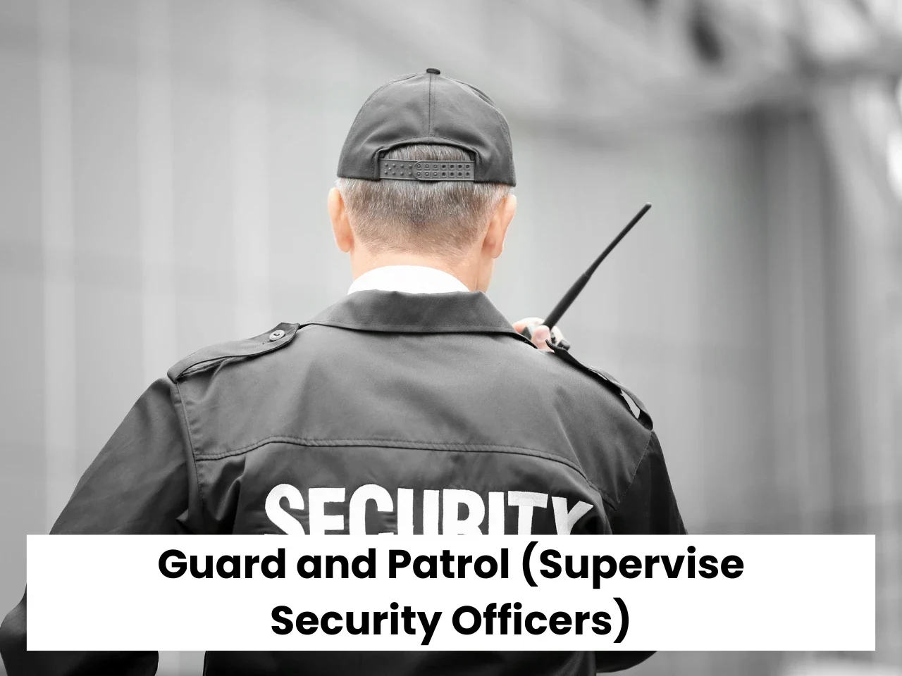 Guard and Patrol (Supervise Security Officers)