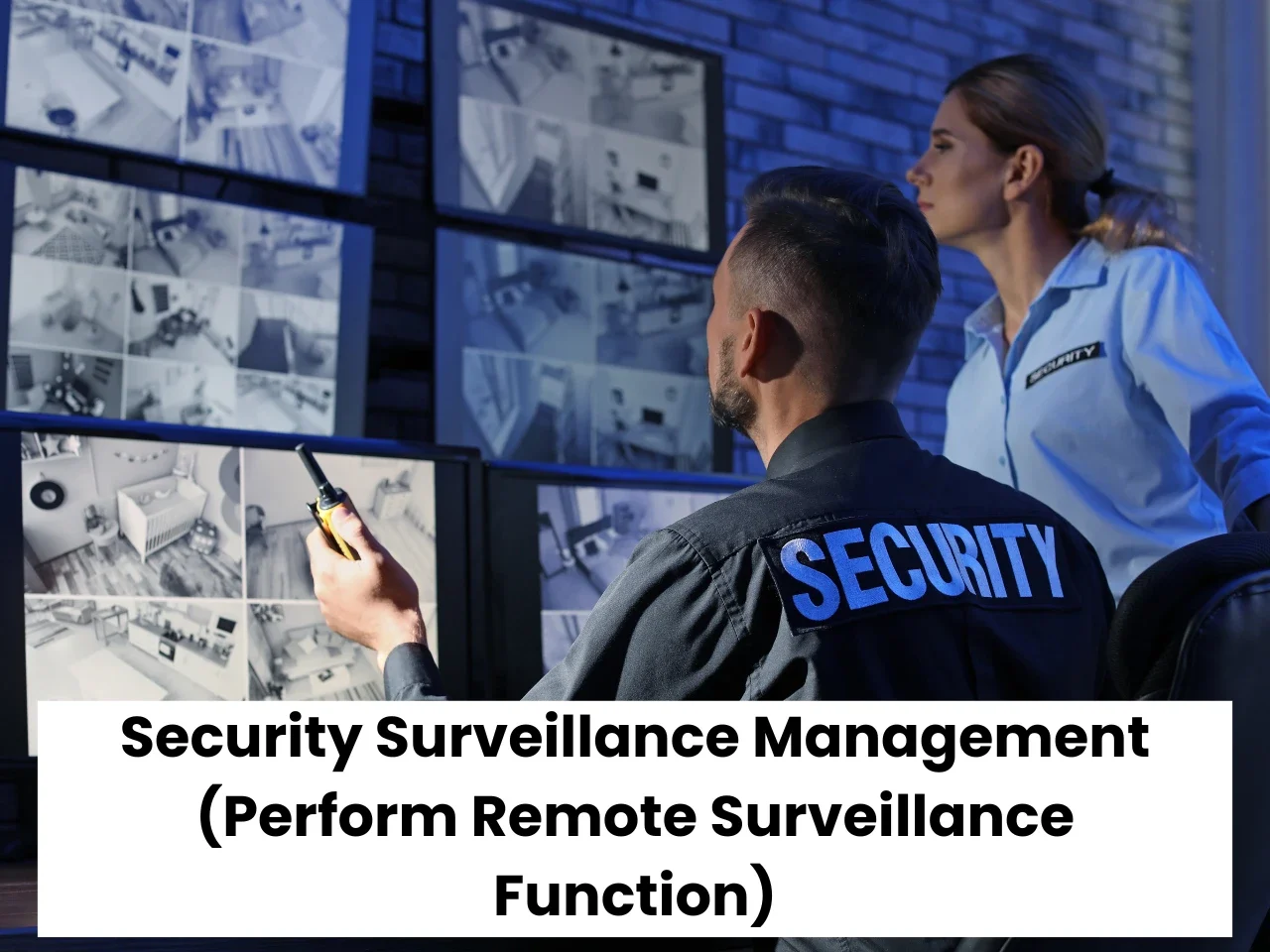 Security Surveillance Management (Perform Remote Surveillance Function)