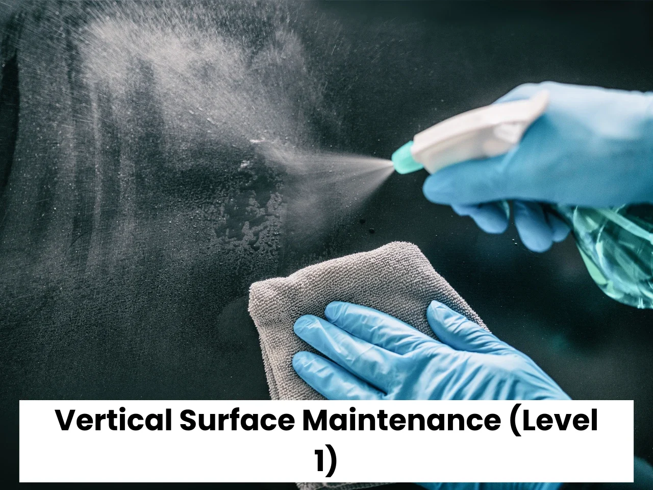 Vertical Surface Maintenance (Level 1)